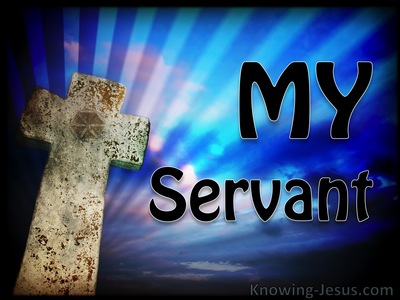 My Servant (JOB-study 8)